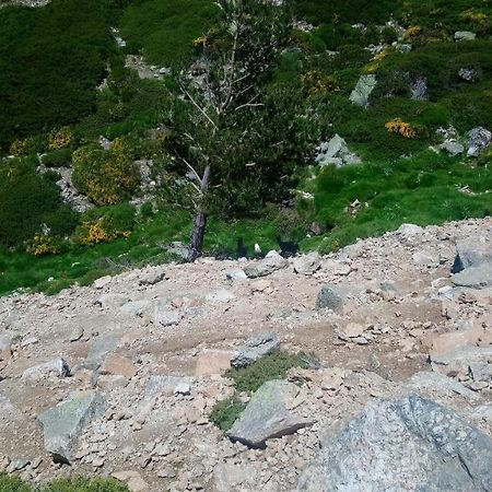 Apartamento Navacerrada Exteriör bild